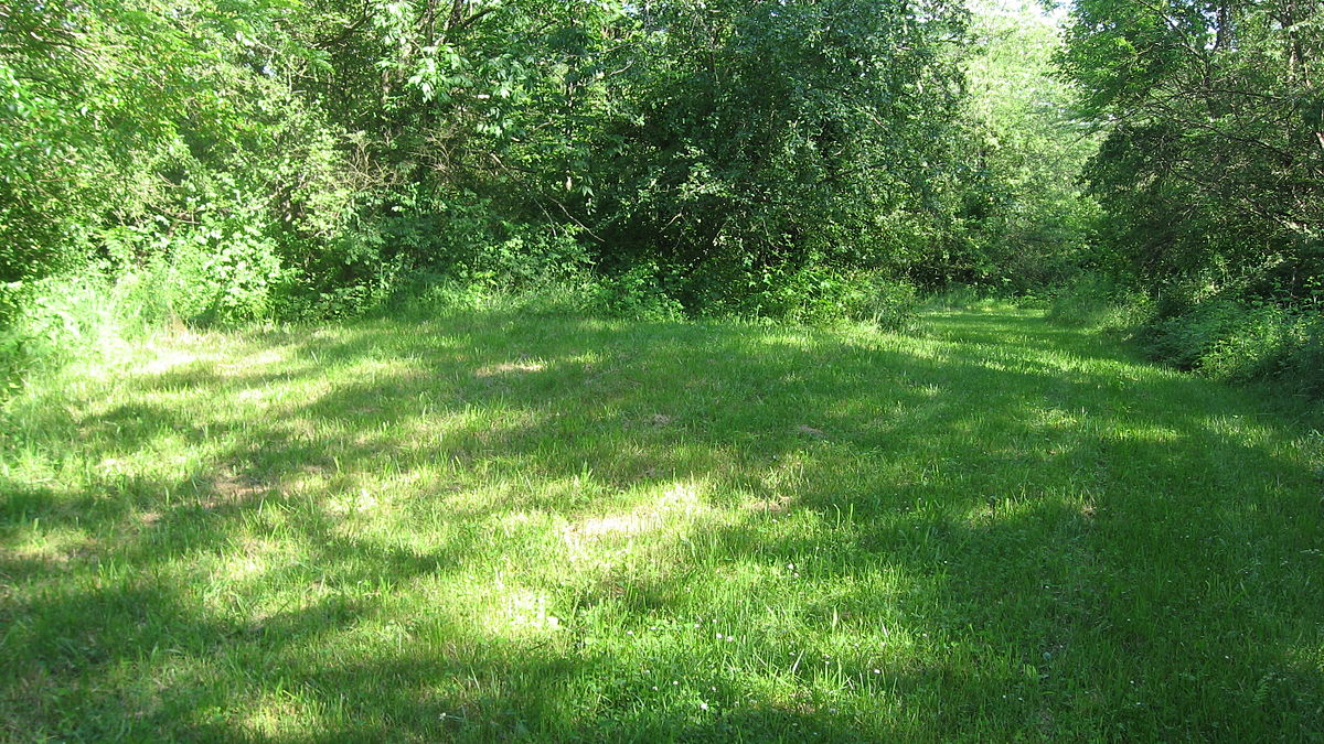 Mutual, Union Township, Champaign, Ohio, United States - Top Sehenswürdigkeiten