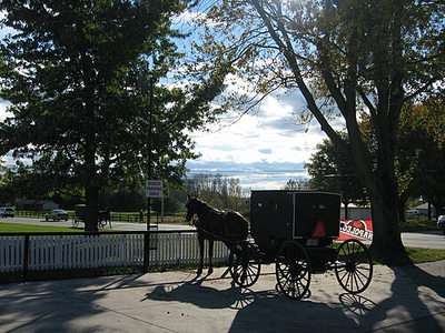 Jrb 20071024 Mennonite Amish buggy Shipshewana Indiana