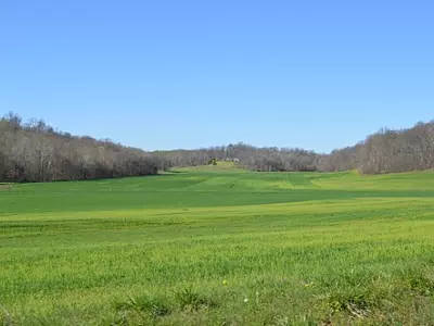 Harrison Township wheat field