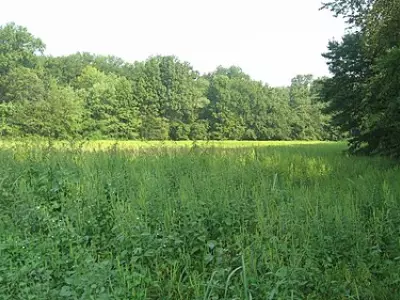 Owensville - Top Sehenswürdigkeiten