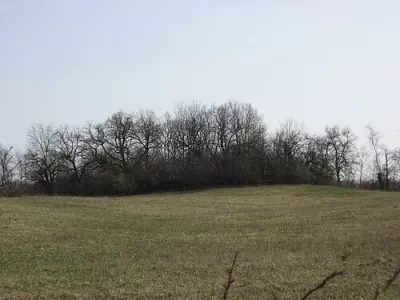 Mann Mound in Wayne Township