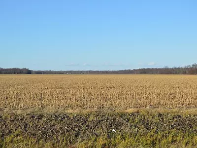 Brown Township stubble fields