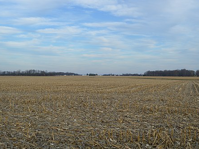 Karr Road stubble field