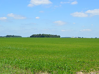 Union Township from Van Wert County Line Road