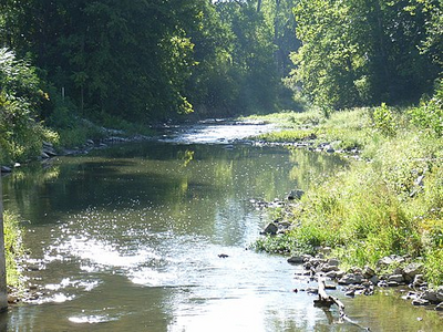 White lick creek