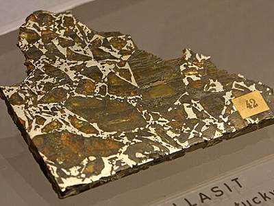 Eagle Station pallasite, Mineralogisches Museum, Bonn